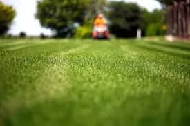 Lawn Care +
